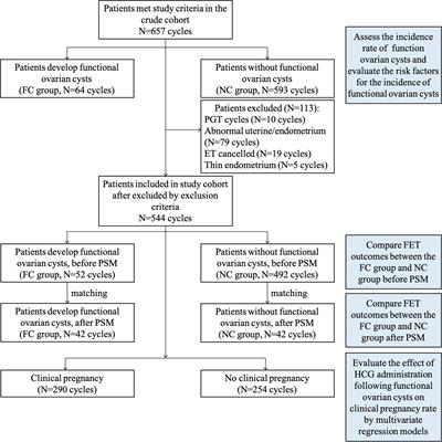 HCG Trigger of GnRH Agonist-Induced Functional <mark class="highlighted">Ovarian Cysts</mark> Does Not Decrease Clinical Pregnancy Rate in GnRHa Pretreated Frozen Cycles: Evidence From a Retrospective Cohort Study